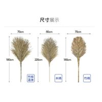 大扫把 竹扫把环卫自营马路物业学校工厂室外清扫[1.8米 4斤竹枝]