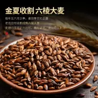 俏滋郎 大麦茶 500g