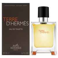 爱马仕(HERMES)Terre D'Hermes 大地男士淡香水持久清新 大地EDT 100ml