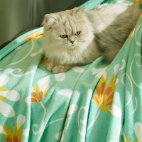 恒源祥恒源祥家纺HYX004MT-DZ唐草法兰绒 150*200cm