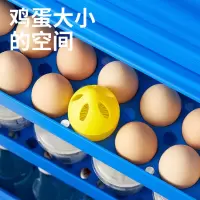 小仓熊 冰箱除味蛋 4颗/盒*3盒 Z