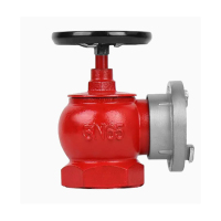 消防产品配件集 消防栓阀门DN65 65MM