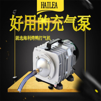 吹鸭子打气烤鸭充气泵打气机300W 单位:台