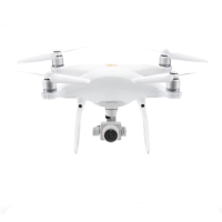 无人机 大疆/DJI Phantom 4 Pro 30min