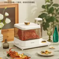 大宇电蒸锅S15