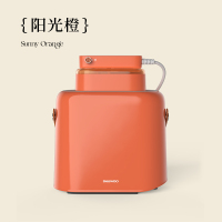 大宇衣物护理机套装 (干衣盒+电熨斗)DB01+031