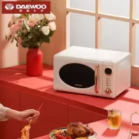 大宇微波炉DY-WB02