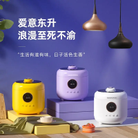 大宇压力锅YLG01