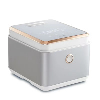 大宇IH 4升电饭煲FB01