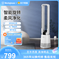 西屋(Westinghouse)电风扇无叶电风扇家用落地扇立式节能立体低音塔扇循环扇立式节能风扇WTH-TS5010RI