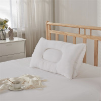 洁丽雅CP1091 40*65cm 高支密斜纹磨绒枕头 单位对
