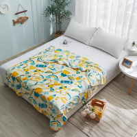 洁丽雅CP1207-1 150*200cm 毛毯午睡毯花色随机或备注