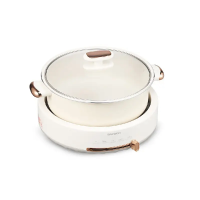 大宇5升电火锅DYHG-505