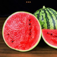 [西沛生鲜]四川攀枝花露天西瓜 8-9斤 新鲜水果 汁多肉甜
