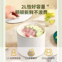 丽特斐迷你智能电饭煲2-3人小火锅煲粥多功能 LW-DF02B Z