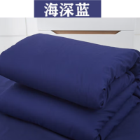 册宣 150×200cm±10cm 防寒保暖垫被 棉花被子 加厚 适用于1.5米床 被套颜色随机