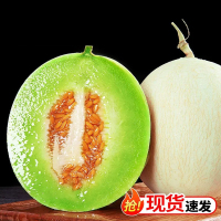 [西沛生鲜]新鲜玉菇甜瓜 净重8.5-9斤 3-6个 蜜瓜香瓜 当季甜瓜新鲜水果 西沛