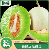 [苏鲜生]新鲜玉菇甜瓜 净重4.5-5斤 2-3个 蜜瓜香瓜 当季甜瓜新鲜水果 西沛