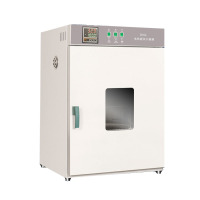 精钨电热鼓风干燥箱101-1BS/1500W/79*60*6