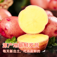 冠町 云南昆明红皮土豆5斤大果[单果130g起]新鲜蔬菜健康轻食