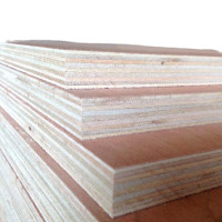 木板 三合板 多层板 胶合板 建筑木板 1220*2440*9mm 单位:张