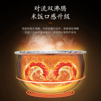 九阳(Joyoung) 电饭煲铁釜4升L家用IH加热电饭锅钢化玻璃面板预约 F-40TD05 香槟金