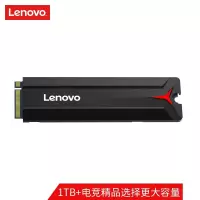 联想(Lenovo) SL700拯救者系列 256GB SSD固态硬盘 M.2接口(NVMe协议)