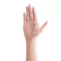 9寸pvc手套[S]