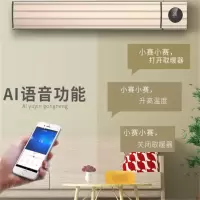 黑色(JDY款) 2500W石墨烯+智能语音(20~25㎡)