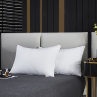 红豆 红豆安睡对枕 48*74cm*2 HD-Z230401