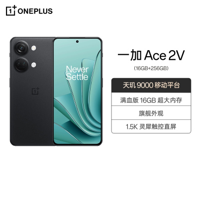 一加 Ace 2V 16GB+256GB 黑岩 长寿版 80W 超级闪充 内存基因重组技术 新一代超高性能石墨 全网通5g游戏学生拍照手机