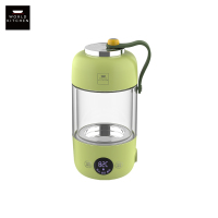 VISIONS WK-SH3506/KZ 随行养生杯