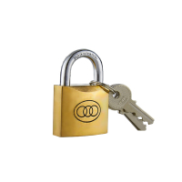 三环 厚型铜挂锁263(32mm)黄铜锁具 铜锁 短梁挂锁+3把钥匙