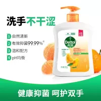 滴露Dettol健康抑菌洗手液自然清新500g 抑菌99.9% 洗手液