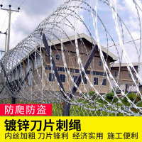 品乐涤 镀锌防锈防盗刀片刺绳 防盗围墙刺网防爬刺带刺铁丝网刺滚笼 双螺旋圈经90cm加密 1卷