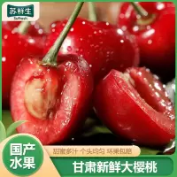 [苏鲜生]EMS空运 甘肃新鲜美早大樱桃 净重5斤 单果26-28mm 新鲜水果大樱桃 酸甜可口