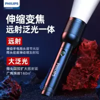 飞利浦 SFL8168便携应急灯 1个
