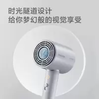 飞科电吹风 FH6312