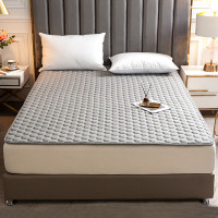 恒源祥纯色 抗菌 软垫HYCD06