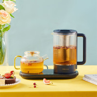 荣事达 套装养生壶 RS-GL10T1