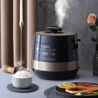 西屋Westinghouse-多功能电压力锅WYL-0501 Z