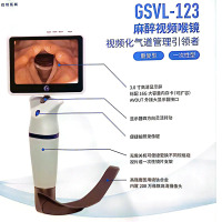 麻醉视频喉镜 迈骏 GSVL-123(单位:台)