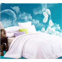 博洋宝贝BYCS601安睡桑蚕丝被1000g200*230cm 1套/箱