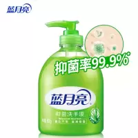 蓝月亮 芦荟 抑菌洗手液 洗手液500g 单瓶装