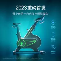 野小兽Mini动感单车M1M 电动感单车家用运动健身室内减肥器材低音Power 插电版 智能调阻+速燃环