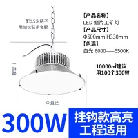 LED防眩球场灯篮球馆吊灯乒乓球场羽毛球场滑冰场专用无重影灯 300W 吊链款-白光-173 货期1-2天
