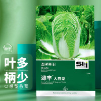寿禾 大白菜种子秋冬季种植青菜蔬菜种籽 潍育系列潍丰大白菜种子10g