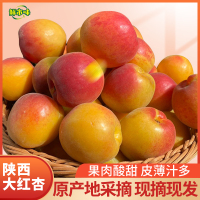 鲜市味 陕西大红杏新鲜杏子应季水果生鲜皮薄核小果肉酸甜红杏