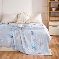 蚕花娘娘99%优质桑蚕丝繁华如梦天丝夏凉被200*230