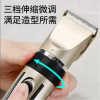 志高(CHIGO)-C 电动成人儿童理发器FL-8801(金色)